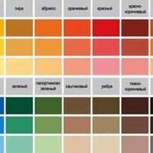 Pralna barva za stene v kuhinji - tipi in proizvajalci