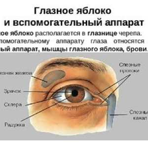 Pokličemo funkcije očesa in pomožne naprave