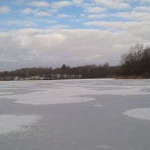 Značilnosti ribolova postrvi pozimi od ledu