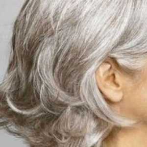 Zakaj so sivi lasje: vzroki in preventivni ukrepi