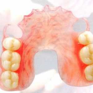 Protetična zobozdravstvo: vrste, opis in cene za zobne proteze