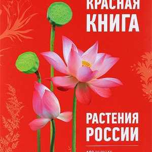Rastline, ki so navedene v rdeči knjigi Rusije
