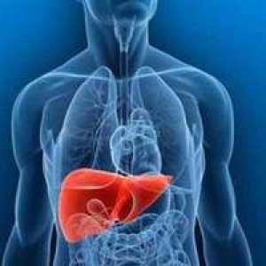 Simptomi povečane jeter in načini zdravljenja