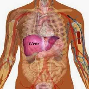 Simptomi vnetja jeter in vzrok bolezni