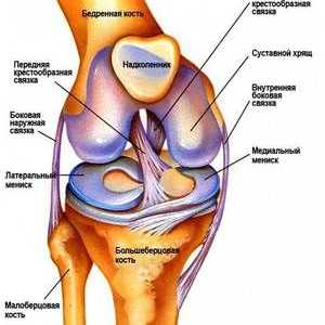 Koliko ligament razpoka v kolenskem sklepu?