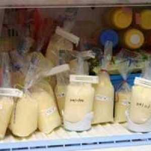 Koliko časa lahko shranite materino mleko v hladilniku