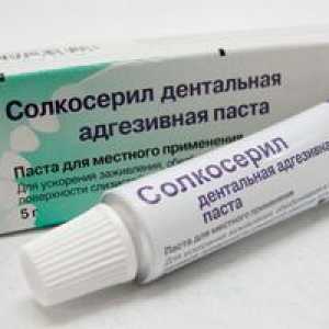 Solcoseryl Dental Adhesive Paste: Navodilo