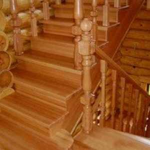 Gradnja stopnic v lesenih hišah: funkcije in fotografije