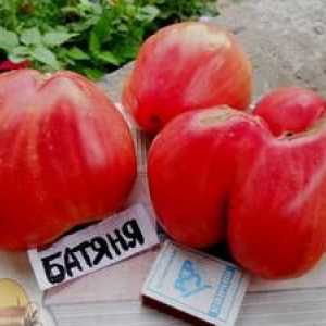 Tomato Batyana: značilnosti in opis sorte