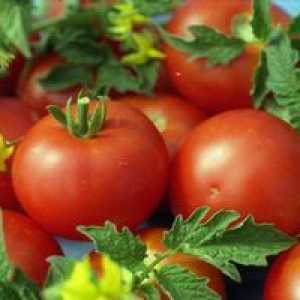 Tomato Koenigsberg: značilnosti in opis sorte