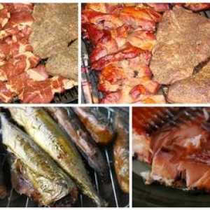 Vrste kadilnice za meso in ribe: vroče in hladno kadenje