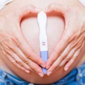 Ali je lahko po splavu možna nosečnost in po kakšnem času?