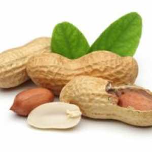 Škoda in koristi arašidov za človeško telo, lastnosti praženih oreškov